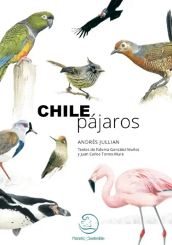 Animales*Planeta sostenible Chile pájaros, una aproximación