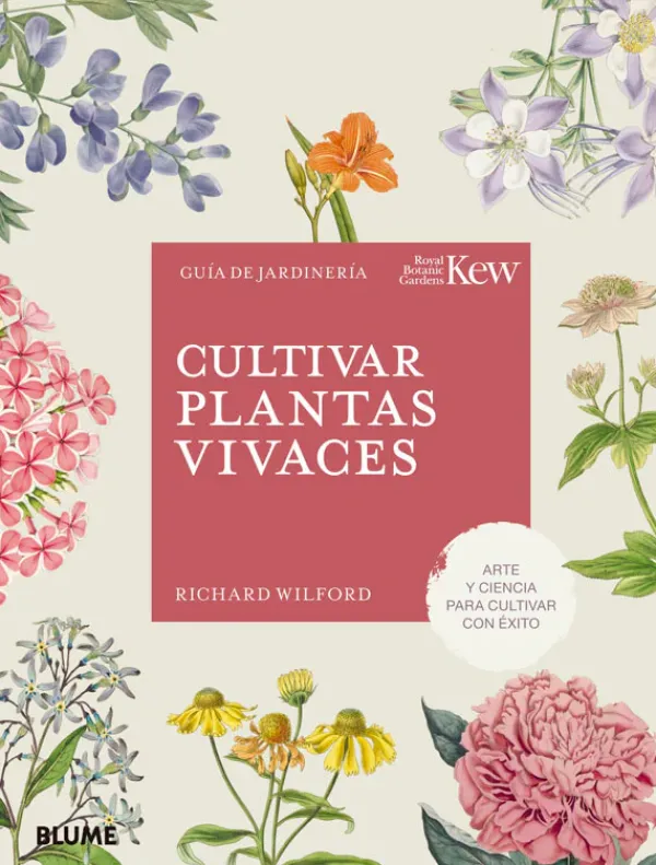 Jardinería*Blume Cultivar plantas vivaces