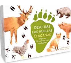 Pasatiempos*MTM Descubre las huellas cercanas. Juego de memoria