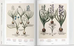 Ilustración Y Comics*Taschen Florilegium. The Book of Plants. Biblioteca Universal