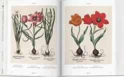 Ilustración Y Comics*Taschen Florilegium. The Book of Plants. Biblioteca Universal