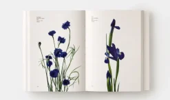 Color*Phaidon Guía comercial floral