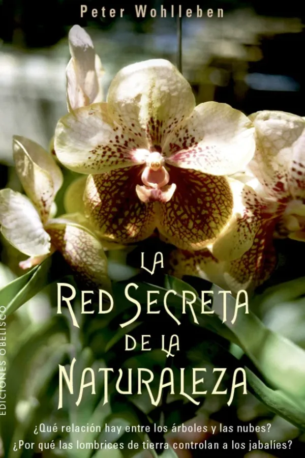 Arboles Y Plantas*Obelisco La red secreta de la naturaleza