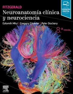 Ciencias De La Salud*Elsevier Neuroanatomía clínica y neurociencia 8ª Ed.
