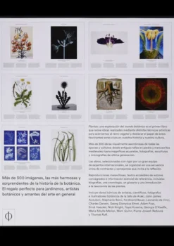 Arboles Y Plantas*Phaidon Plantas. Una exploración del mundo botánico
