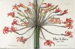 Arte*Taschen Redouté. El libro de las flores