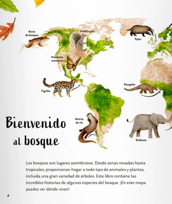 Cuentos Y Fábulas*Contrapunto Secretos del bosque