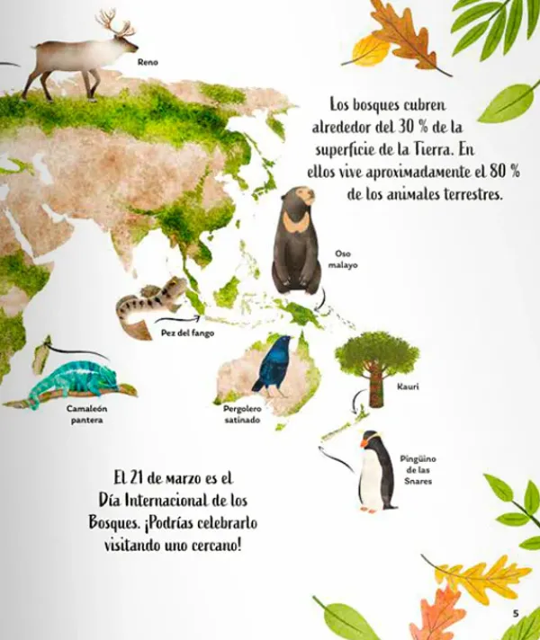 Cuentos Y Fábulas*Contrapunto Secretos del bosque