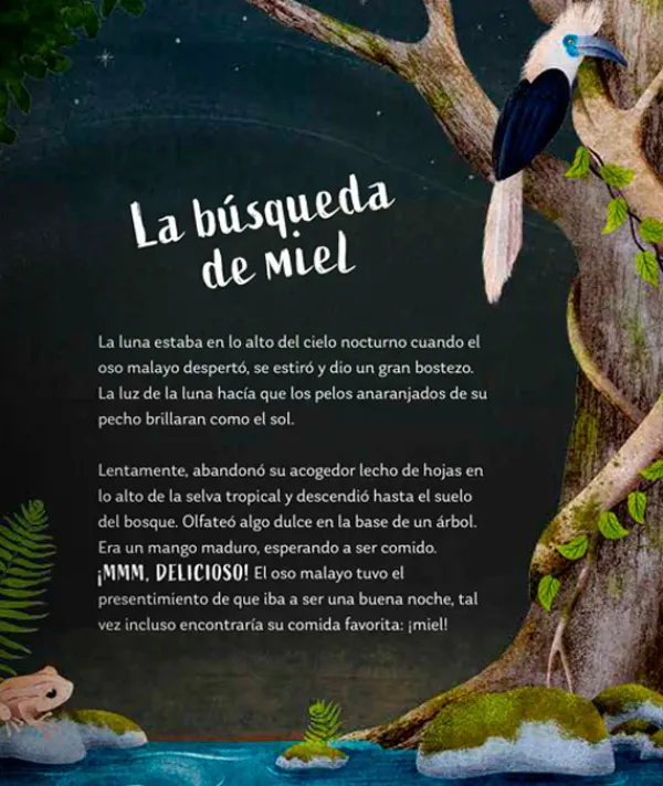 Cuentos Y Fábulas*Contrapunto Secretos del bosque