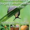Jardinería*El Ateneo Soluciones contra plagas y enfermedades de las plantas