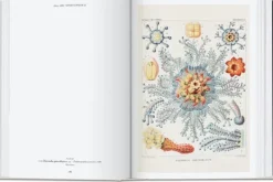 Arte*Taschen The Art and Science of Ernst Haeckel. 40th Ed.