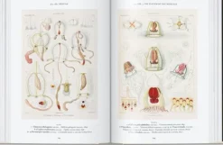 Arte*Taschen The Art and Science of Ernst Haeckel. 40th Ed.