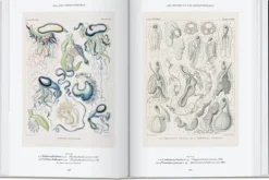 Arte*Taschen The Art and Science of Ernst Haeckel. 40th Ed.