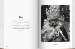 Fotografía*Taschen The Dog in Photography 1839-Today. Biblioteca Universal