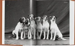 Fotografía*Taschen The Dog in Photography 1839-Today. Biblioteca Universal
