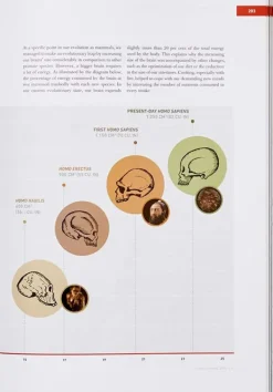 Cocinas Del Mundo*Phaidon The Origins Of Cooking: Paleolithic And Neolithic Cooking