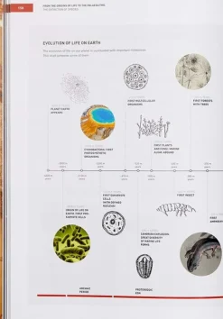 Cocinas Del Mundo*Phaidon The Origins Of Cooking: Paleolithic And Neolithic Cooking