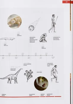 Cocinas Del Mundo*Phaidon The Origins Of Cooking: Paleolithic And Neolithic Cooking
