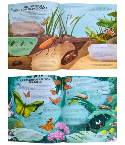 Animales Y Naturaleza*Contrapunto Todo lo que sabes sobre los insectos está equivocado