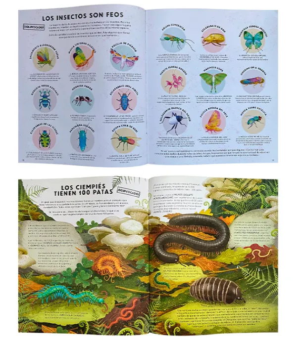 Animales Y Naturaleza*Contrapunto Todo lo que sabes sobre los insectos está equivocado