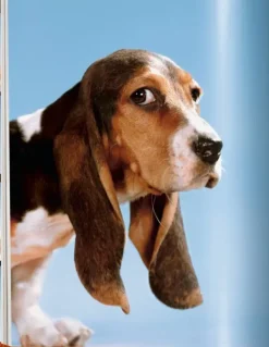 Fotografía*Taschen Walter Chandoha. Dogs. Photographs 1941-1991