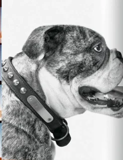 Fotografía*Taschen Walter Chandoha. Dogs. Photographs 1941-1991