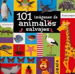 Animales Y Naturaleza*Silver Dolphin 101 Imágenes de animales salvajes