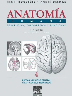 Ciencias De La Salud*Elsevier Anatomía humana 11ª Ed. Tomo 4: Sistema nervioso central