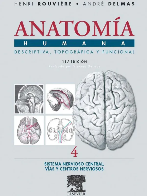 Ciencias De La Salud*Elsevier Anatomía humana 11ª Ed. Tomo 4: Sistema nervioso central