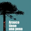 Historia*Catalonia Arauco tiene una pena