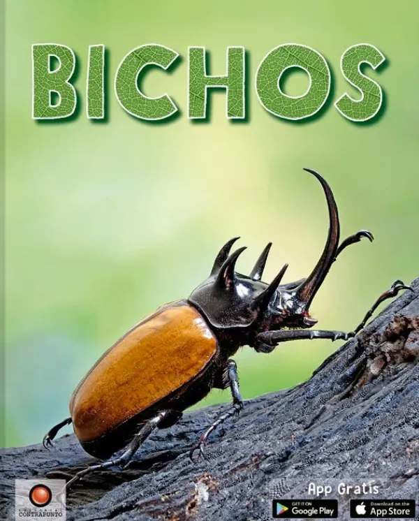 Animales Y Naturaleza*Contrapunto Bichos