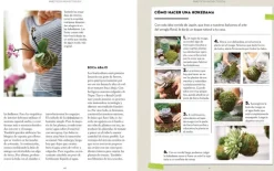 Jardinería*Gustavo Gili Cómo construir un jardín vertical