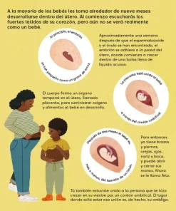 Cuerpo Y Mente*Contrapunto ¿Cómo se hacen los bebés?