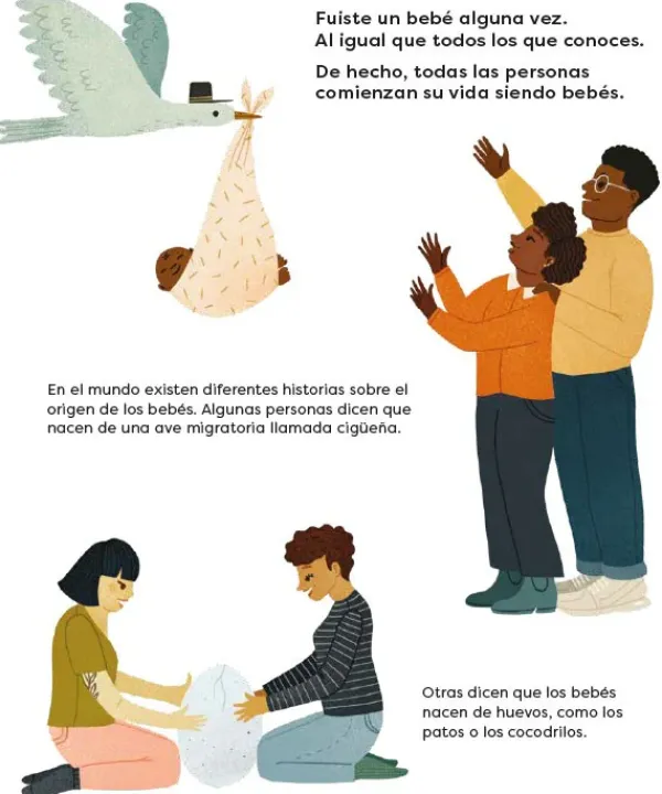 Cuerpo Y Mente*Contrapunto ¿Cómo se hacen los bebés?