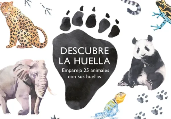 Actividades Y Puzzles*MTM Descubre la huella