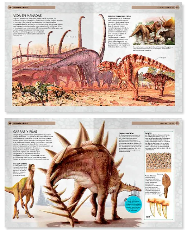 Animales Y Naturaleza*Contrapunto Dinosaurios