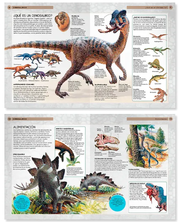 Animales Y Naturaleza*Contrapunto Dinosaurios