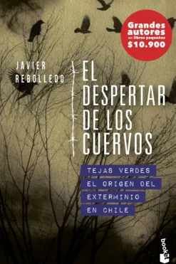 Literatura Chilena*Booket El despertar de los cuervos
