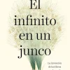 Historia*Debols!llo El infinito de un junco