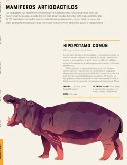 Animales Y Naturaleza*Contrapunto Enciclopedia de animales