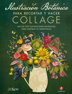 Papel*Contrapunto Ilustración botánica para recortar y hacer collage