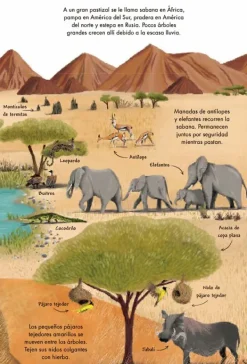 Animales Y Naturaleza*Contrapunto Mi primer libro de la naturaleza