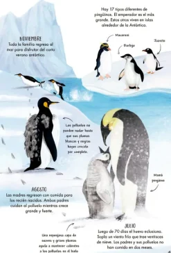 Animales Y Naturaleza*Contrapunto Mi primer libro de la naturaleza