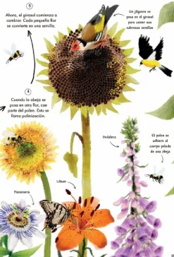 Animales Y Naturaleza*Contrapunto Mi primer libro de la naturaleza