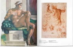 Arte*Taschen Miguel Ángel. Basic Art