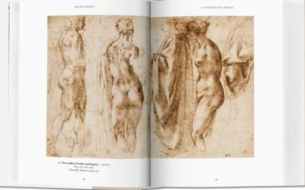 Arte*Taschen Miguel Ángel. Obra gráfica. Biblioteca Universal