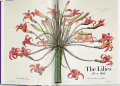 Arte*Taschen Pierre-Joseph Redouté. El libro de las flores. 40th Ed.