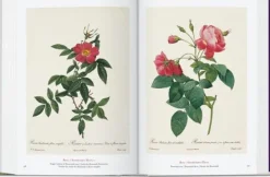 Arte*Taschen Pierre-Joseph Redouté. El libro de las flores. 40th Ed.