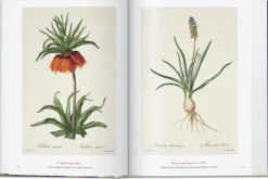 Arte*Taschen Pierre-Joseph Redouté. El libro de las flores. 40th Ed.