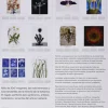 Arboles Y Plantas*Phaidon Plantas. Una exploración del mundo botánico